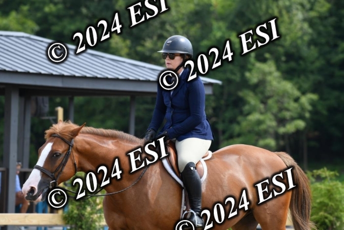 017DK1_2095