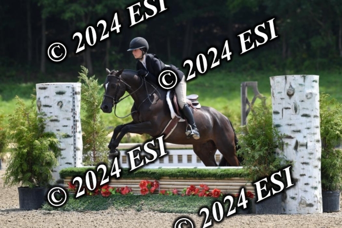 017DK1_2096