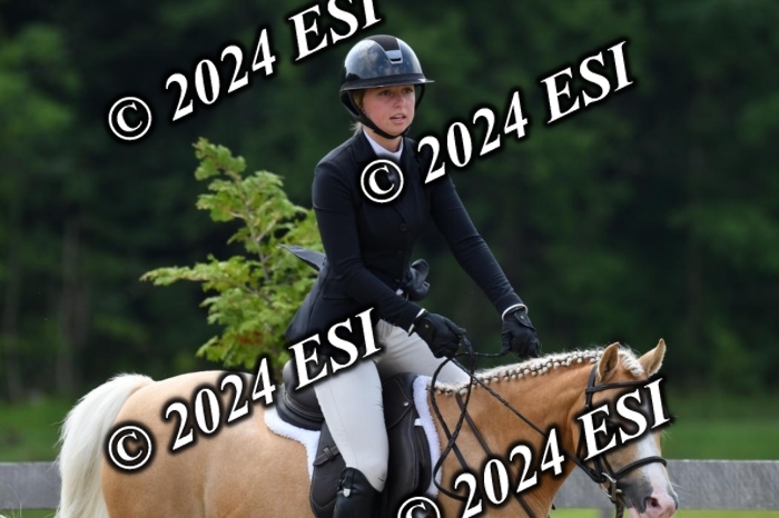 017DK1_2103