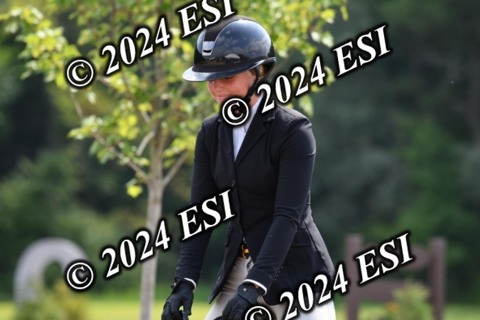 017DK1_2110