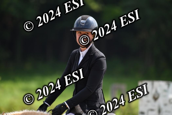 017DK1_2120