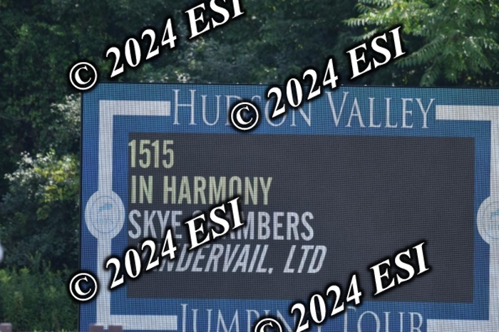 017DK1_2131