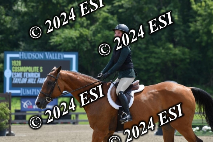017DK1_2147