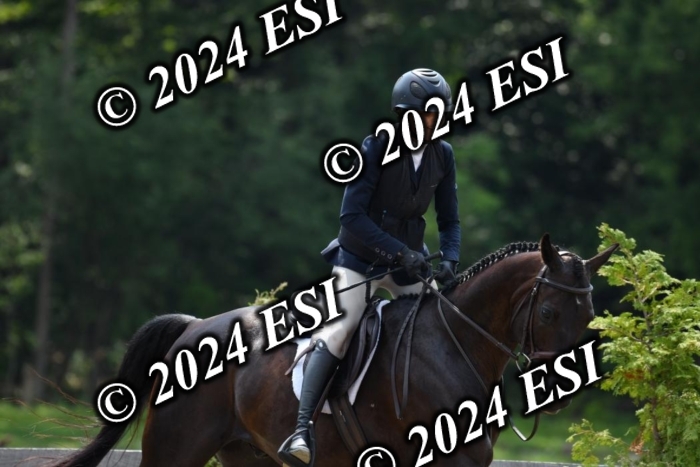017DK1_2154