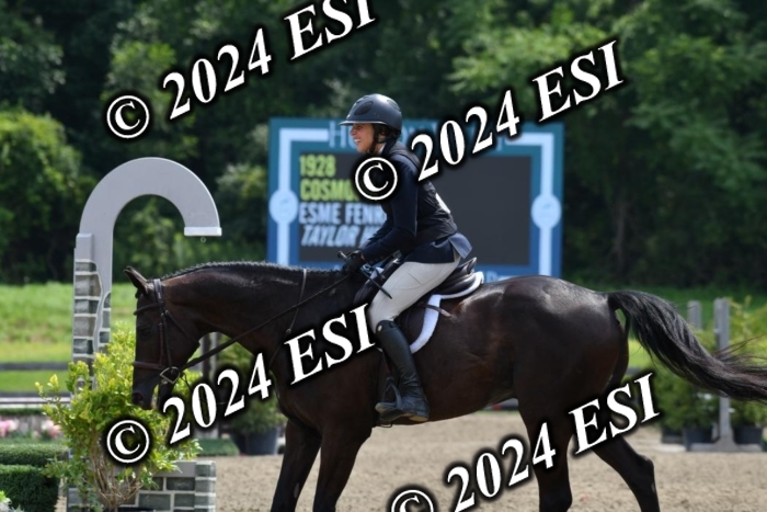 017DK1_2158