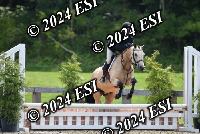 017DK1_2170