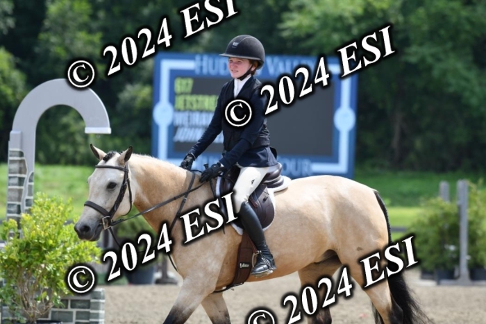 017DK1_2173