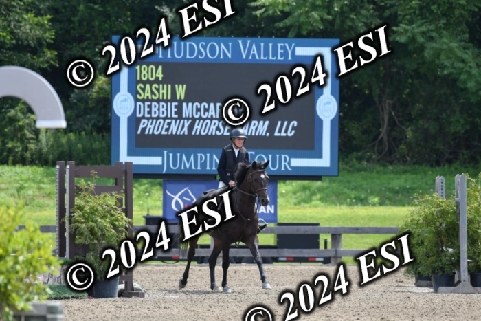 017DK1_2175