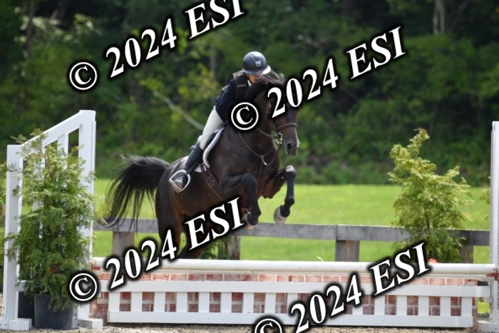 017DK1_2177