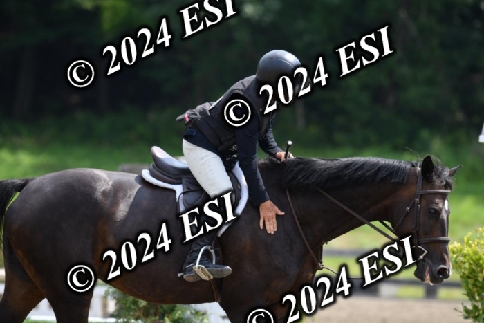 017DK1_2178