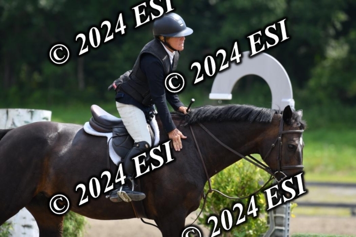 017DK1_2179