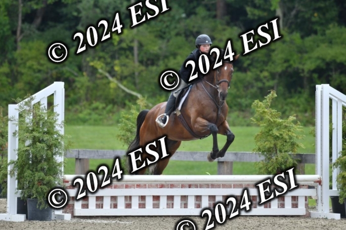 017DK1_2184