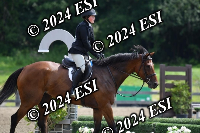 017DK1_2185