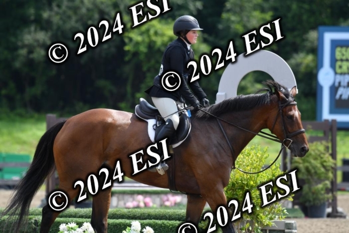 017DK1_2186