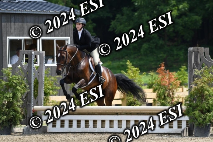 017DK1_2191