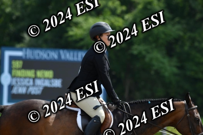 017DK1_2195