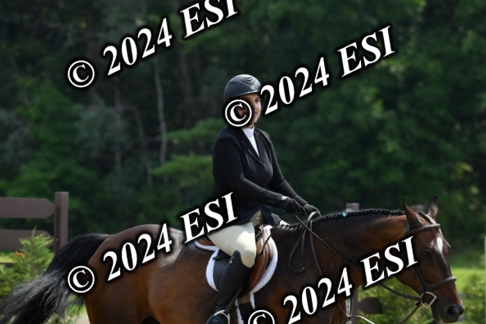 017DK1_2196