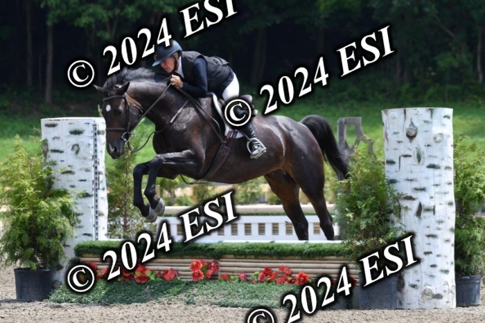 017DK1_2203