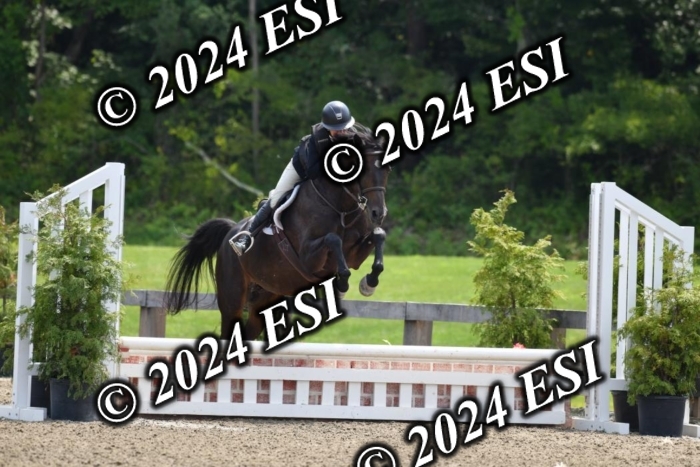017DK1_2204