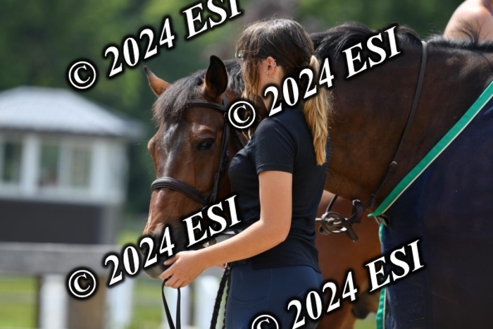 017DK1_2205