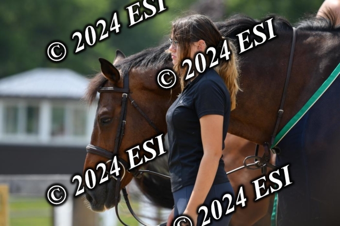 017DK1_2206