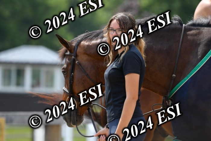 017DK1_2207