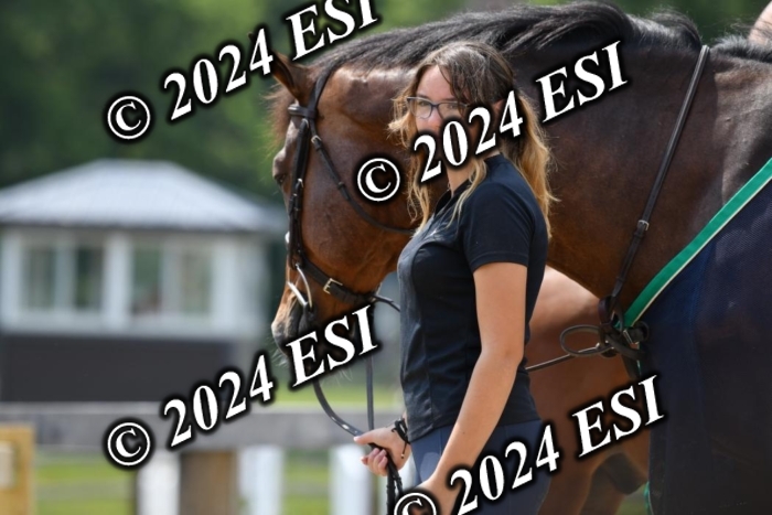 017DK1_2208