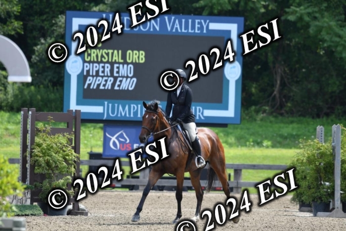 017DK1_2210
