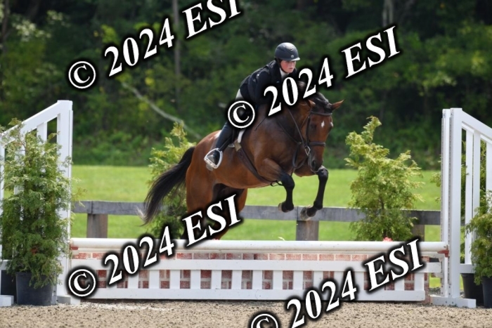 017DK1_2212