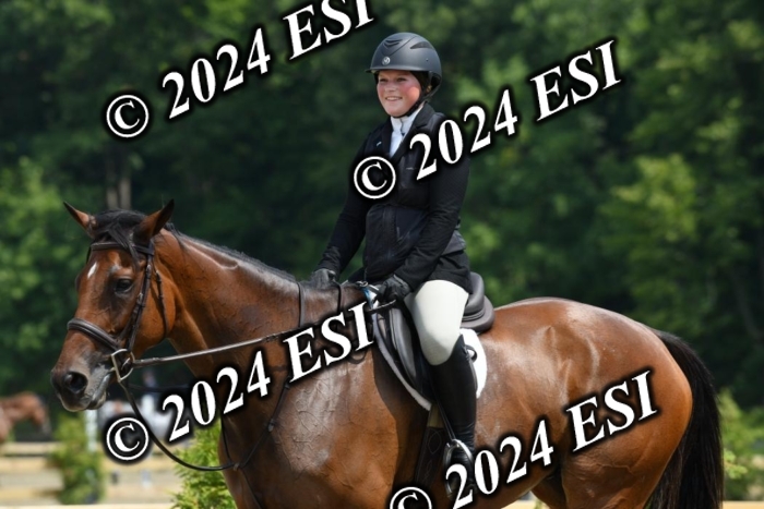 017DK1_2214