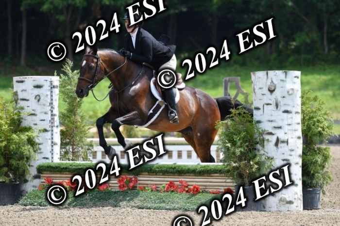 017DK1_2218