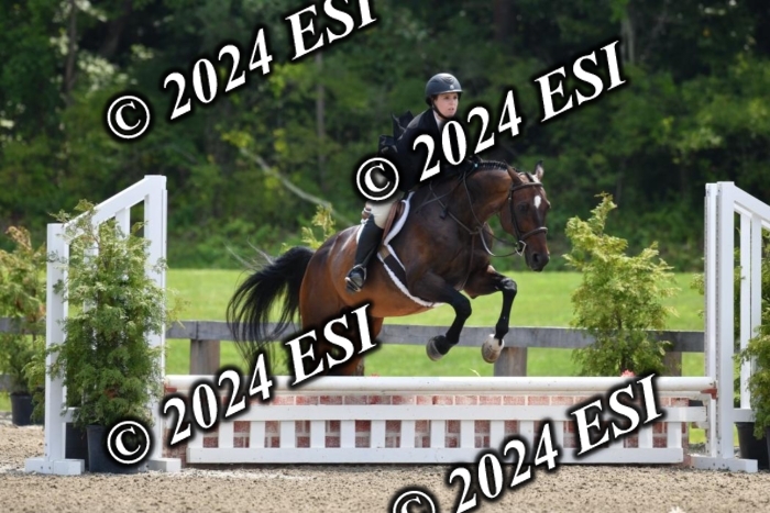 017DK1_2219