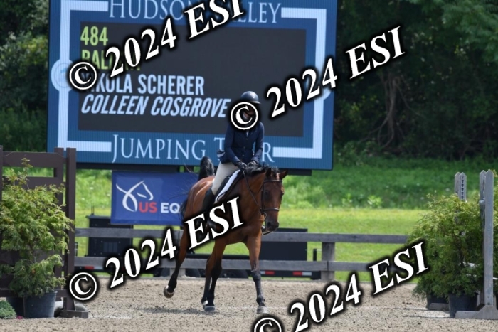 017DK1_2225