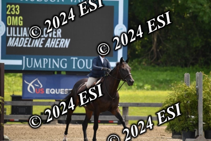 017DK1_2228