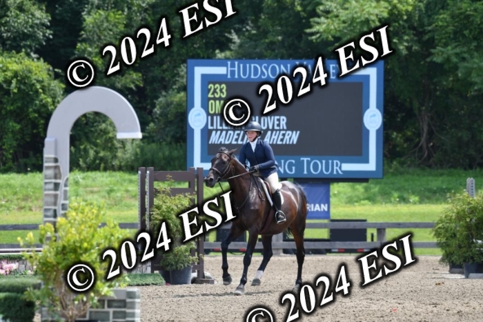 017DK1_2231