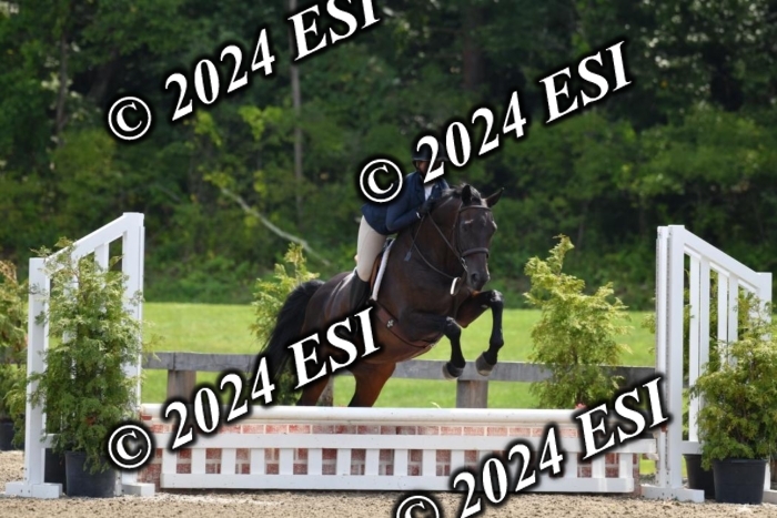 017DK1_2234