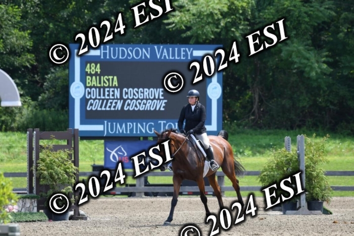 017DK1_2237