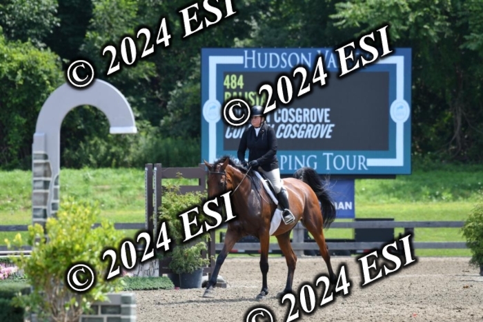 017DK1_2238