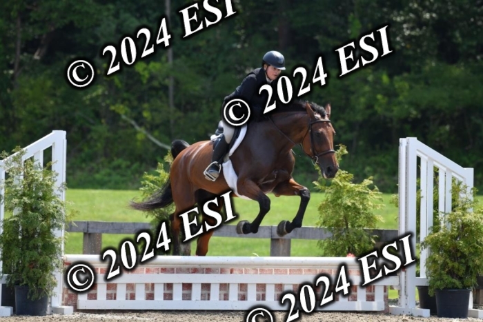 017DK1_2240