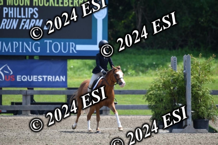 017DK1_2246