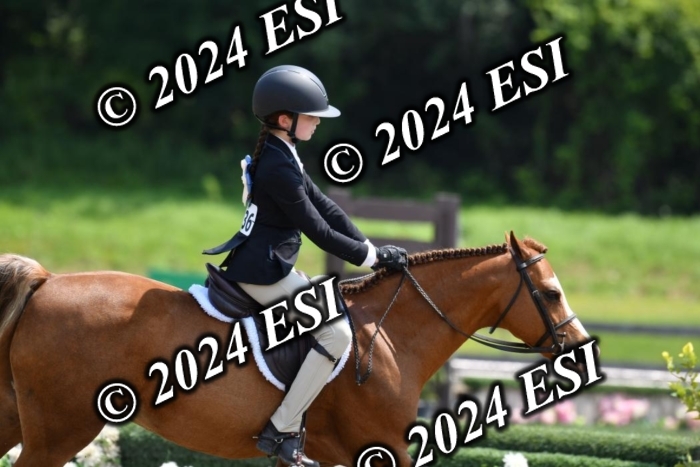 017DK1_2252