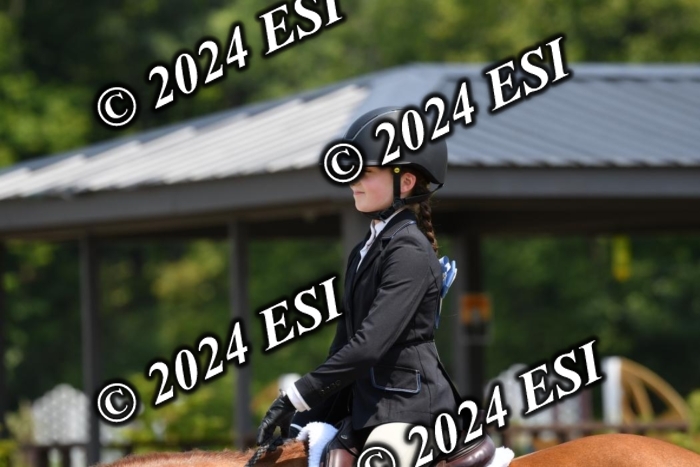 017DK1_2261