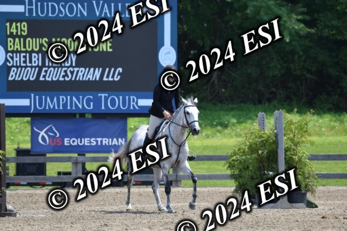 017DK1_2268