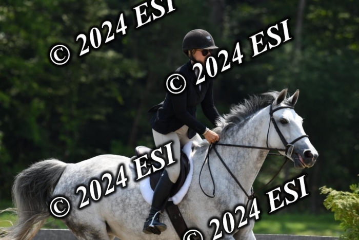 017DK1_2269