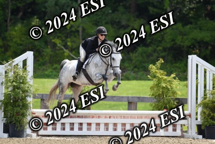 017DK1_2282