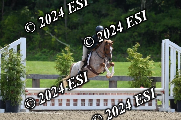 017DK1_2292