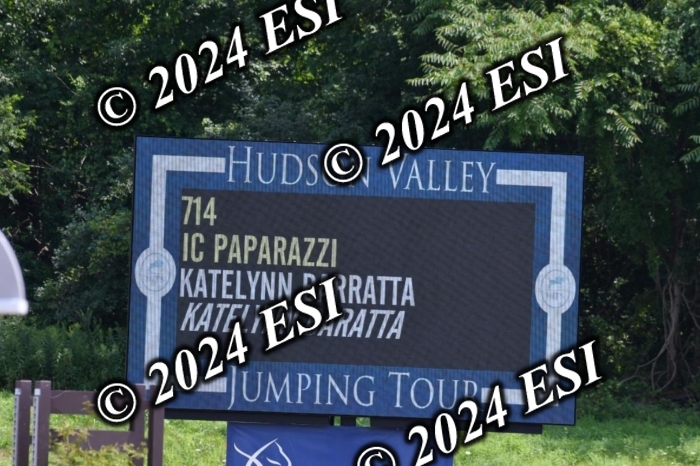 017DK1_2296