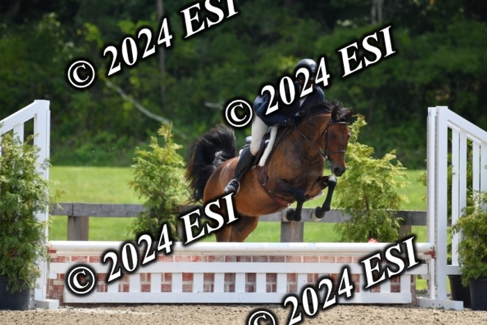 017DK1_2298