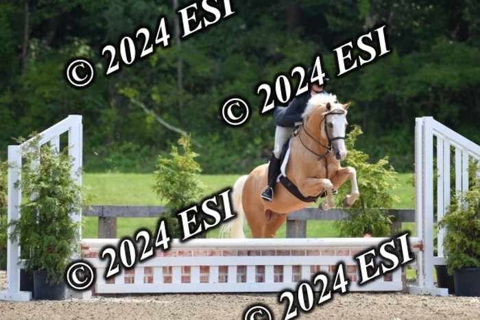 017DK1_2333