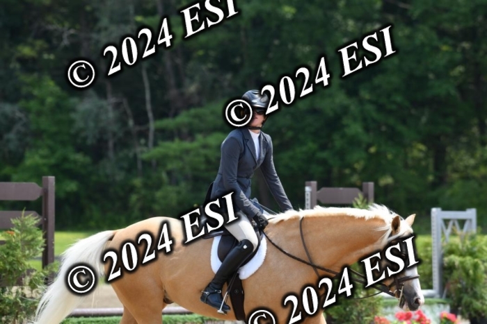 017DK1_2337